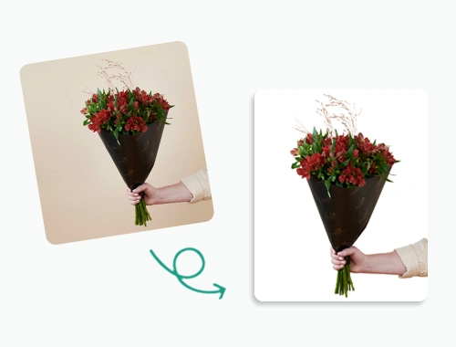 Background-Removal-Service-Final